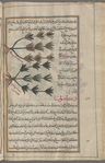 Two varieties of fawtanaj are shown