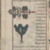 Orache, frosted orache (Atriplex rosea), qataf [top]; Garden cabbage (Brassica oleracea), kurunb bustânî [bottom]