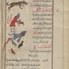 Boar (Sus scrofa), khinzîr [top]; Mad dog, al-kalb al-kalib [upper middle]; A man slaughtering a hen, dajâjah [middle]; A youth being bitten by a snake [lower middle]; Three hens, al-dajâj [bottom]