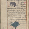 Elephant, fil, to illustrate ivory, al-'âj [top]; Caterpillars, al-mashût [bottom]