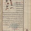 Blister beetles (Mylabris syriaca), dharârîh [top]; Commom salamander (Salamandra terrestris), sâlâmandrâ, identified in the text as sâm abras (chameleon) [bottom]