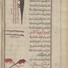 Skink (Scincus officinalis), sqanqûr [top]; Earthworms (Super-family Lumbricoidea), al-dûd [middle]; Shrew mouse (Sorex species; Crocidura zarudnyi; Crocidura susiana), mûghâlî [bottom]; House mouse [bottom]