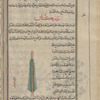 Flax seed (Linum usitatissimum), bazr kattân [!]