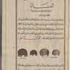 Hedgehogs (Erinaceus europaeus; Hemiechinus auritus; Paraechinus hypomelas), al-qanâfidh. Two "sea hedgehogs" (al-qanâfidh al-bahrîyah) are shown on the right and two "land hedgehogs" (al-qanâfidh al-barrîyah) on the left
