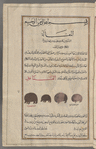 Hedgehogs (Erinaceus europaeus; Hemiechinus auritus; Paraechinus hypomelas), al-qanâfidh. Two "sea hedgehogs" (al-qanâfidh al-bahrîyah) are shown on the right and two "land hedgehogs" (al-qanâfidh al-barrîyah) on the left