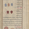 Al-khartûm. No heading. Three shieldlike specimens are shown, two in blue, one in ochre with red contour [top]; Unguis (Operculum of Strombus lentiginosus), al-azfâr. Two specimens are shown [top]; Snail (Helix pomatia, etc.), qûkliyâs [n.p.] [bottom]