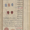 Al-khartûm. No heading. Three shieldlike specimens are shown, two in blue, one in ochre with red contour [top]; Unguis (Operculum of Strombus lentiginosus), al-azfâr. Two specimens are shown [top]; Snail (Helix pomatia, etc.), qûkliyâs [n.p.] [bottom]