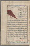 Another variety of snail, qûkliyâs; in the caption, it is said to be found in Ceylon (Sarandîb) and Nubia (al-Nûba)