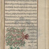 Mastic tree (Pistacia lentiscus), skînûs, i.e., shajarat al-mustakâ [top]; Pine cones on a pine tree, wrongly identified as a variety of mastic by later hand [bottom]