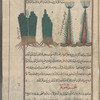Papyrus (Papyrus antiquorum), fifrûn, i.e., al-kawlân (the legend identifies this as Iraqi usage and calls the plant bardî). Two varieties are shown, each twice