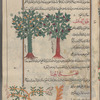 Hawthorn (Crataegus oxyacantha), ûlsâqâniyyûn [!] [top] right]; Dog's bush (Rosa canina), 'ullayq al-kalb [top left]; Henna shrub (Lawsonia inermis), shajarat al-hinnâ [bottom]
