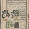 Two additiona carieties [top]; Gum cistus (Cistus creticus). The secretion of this tree, which adheres to the legs and beards of goats and is collected in small balls, is shown in a mound on the right