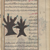 Ebony (diospyrus ebenum), hayhunnûs [!], i.e., âbanûs. Two varieties are shown
