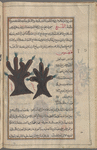 Ebony (diospyrus ebenum), hayhunnûs [!], i.e., âbanûs. Two varieties are shown