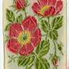 Rambler rose (Pleasure; Pain).