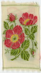 Rambler rose (Pleasure; Pain).