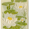 Water Lily (Sanctity.)
