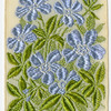 Periwinkle (Early and sincere friendship.)