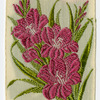 Gladiolus (Valiant in war.)