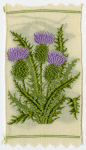 Thistle (Self reliance.)