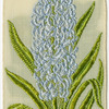 Hyacinth (Sorrow; Pity.)