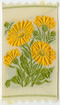 Marigold (Grief.)