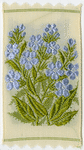 Italian Borage (Innocent beauty.)