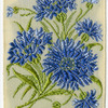 Cornflower (Delicacy).