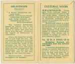 Heliotrope (Devotion.)