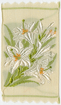 Madonna lily (Purity; Majesty.)