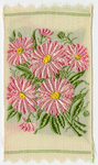 Michaelmas daisy (Afterthought.)