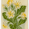 Primrose (Girlhood; Love's doubts and fears.)