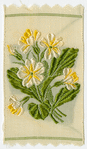 Primrose (Girlhood; Love's doubts and fears.)