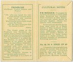 Primrose (Girlhood; Love's doubts and fears.)