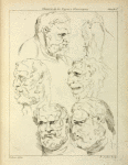 Studies of the head of a bearded man, and the head of a creature