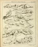 Several figures in prone and supine positions