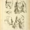 Four studies of men's heads, and an eye