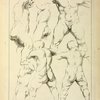 Studies of male torsos