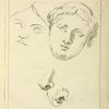 Two human female faces and two noses--one human, animal