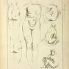 Studies of the female torso, buttocks, and seated figures, dorsal view