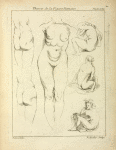 Studies of the female torso, buttocks, and seated figures, dorsal view