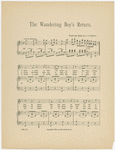 The wandering boy's return