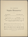 Apple blossoms