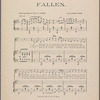 Fallen by the wayside : a leaf torn from life's history