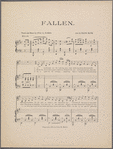 Fallen by the wayside : a leaf torn from life's history