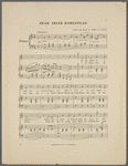 The dear Irish homestead