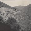 In the San Francisquito Canyon