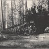 6th Car, Troop "F" on Fallen Monarch, Mariposa Grove