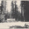 Log cabin in Mariposa Grove
