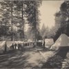 Camp at Wawona